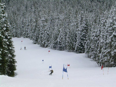 GS down mt hood lane
