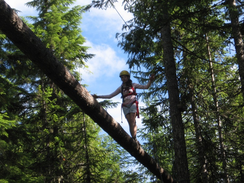 log walk